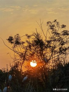 ​生活中积德最快的方法