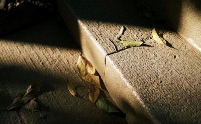 ​静心语录 看淡一切的静心佛语