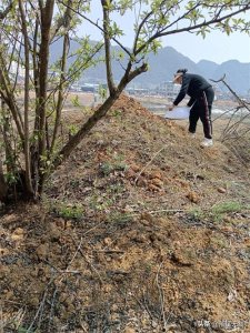​清明节上坟祭祀祖先的意义是什么？