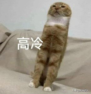 ​谁在骂湖北人？大家可别忘了郑州大雨期间的黄皮白心人！