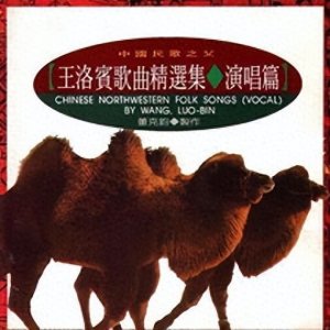 ​新疆之歌（38）——合唱《掀起你的盖头来》