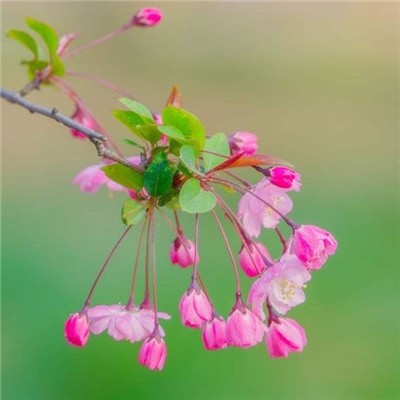 有意境有气质的微信风景头像