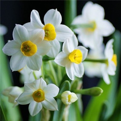 有意境有气质的微信风景头像