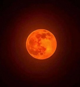 ​月食是怎么回事？探秘夜空的神奇现象！