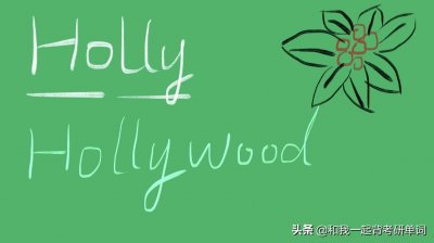 ​holly什么意思