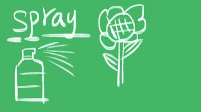 ​spray什么意思