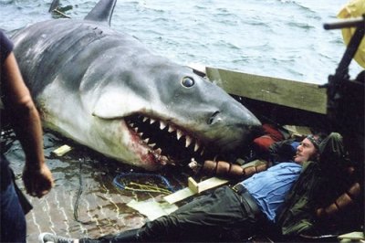 ​《加勒比海盗》演员冲浪遭遇鲨鱼，被咬掉手和脚，死前挣扎太无助