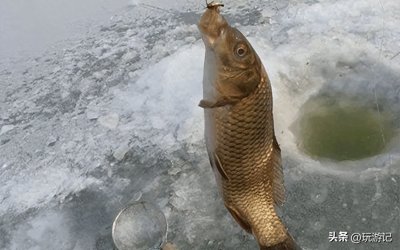 ​冬季钓鲤鱼的线组搭配：如何在寒冷环境中捕获肥美鲤鱼