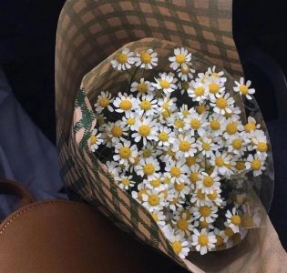 ​写给十九岁的自己