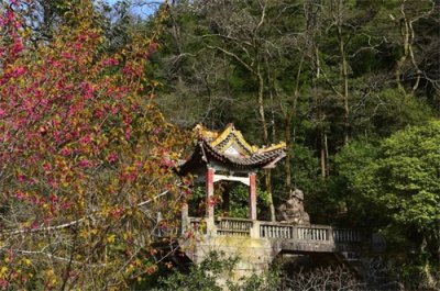 ​四季黄山 相约春天 | 【四季黄山·我的网红打卡地⑬】黄山温泉，邂逅一场静谧的春