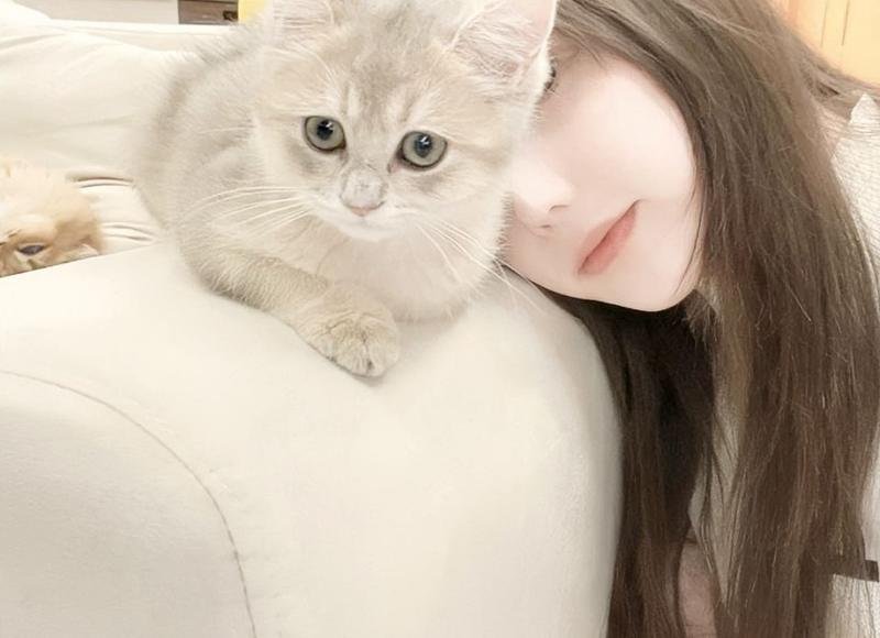 所作所为是啥意思