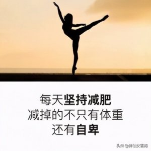 ​不吃药、不节食、不运动的麦吉减肥法食谱