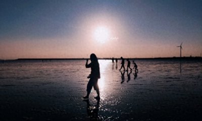 ​人类究竟是怎么来的