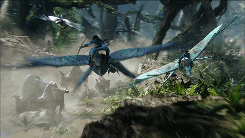 阿凡达2上映时间官方(阿凡达2终究是一部美式西部片)(1)