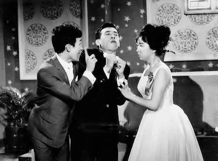 胡枫个人资料写真作品