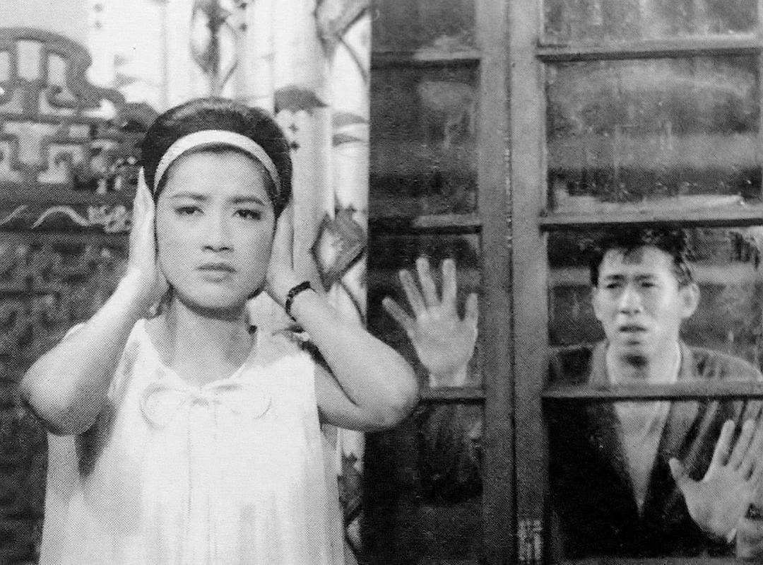 胡枫个人资料写真作品