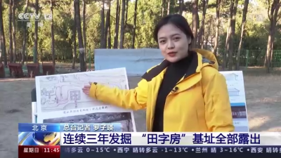 ​圆明园考古新发现 揭露出“田字房”和皇家稻田遗址