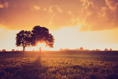 ​与别人交谈时，这三种话会折损你的福气，要尽量少说，甚至不说