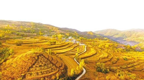 三秦大地指哪三个?