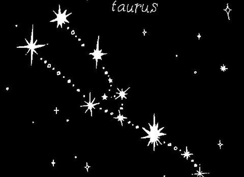 婚宴酒席的意义是什么 婚宴酒席的菜可以单点吗 婚宴酒席的意义是什么 婚宴酒席的菜可以单点吗