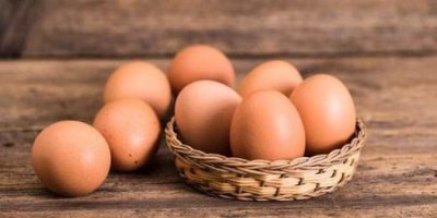 ​人造鸡蛋和真正的鸡蛋有什么区别?