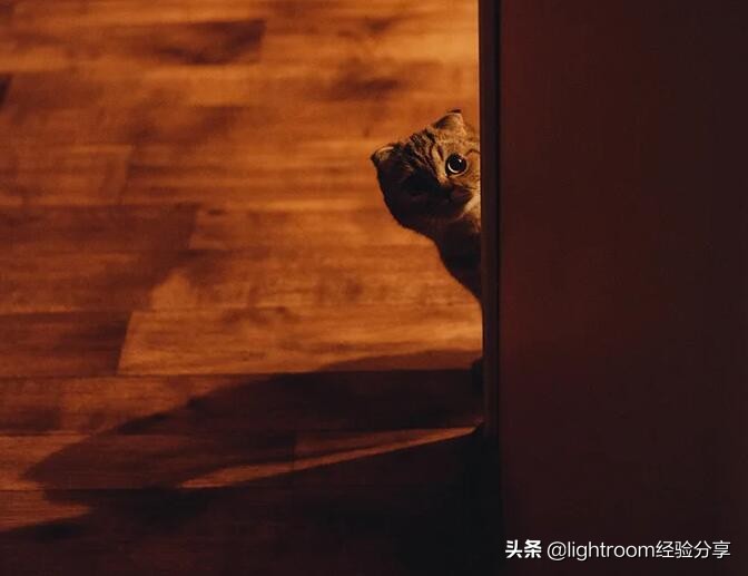 怎么裁剪图片（分享8个裁剪照片的小技巧）