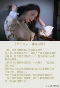 ​职场，办公室恋情文合集推荐!