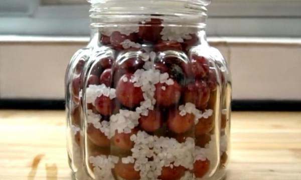 腌李子可以放多久,李子可以放多久,常温图10