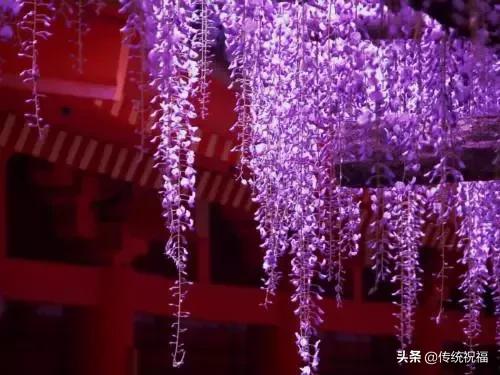 大年初九早上好祝福语（大年初九送你99吉祥祝福）(23)