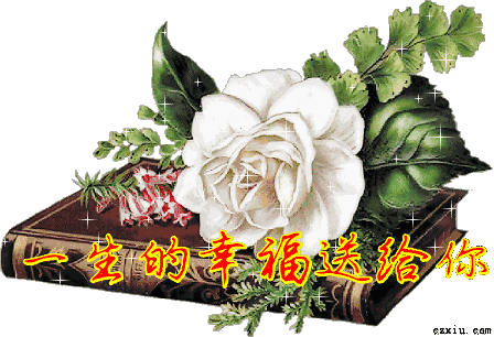 大年初九早上好祝福语（大年初九送你99吉祥祝福）(6)