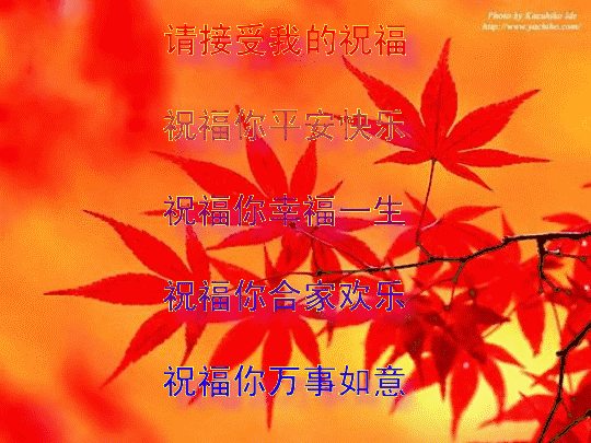 大年初九早上好祝福语（大年初九送你99吉祥祝福）(25)