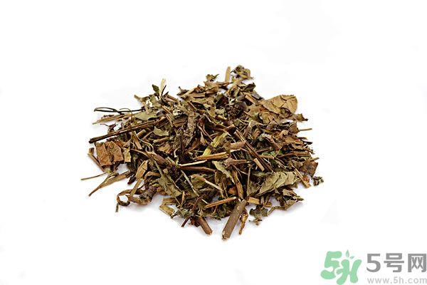 鱼腥草能泡水喝吗？鱼腥草泡水喝有什么功效？