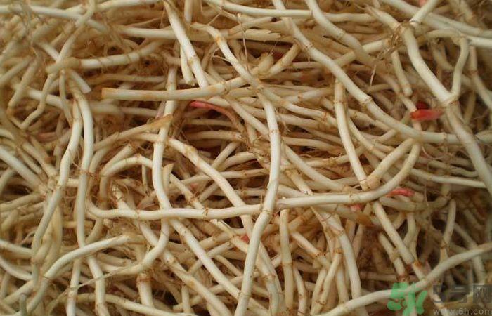 鱼腥草能泡水喝吗？鱼腥草泡水喝有什么功效？