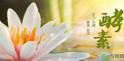 ​酵素的作用和吃法 酵素的作用与功效