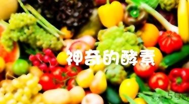 酵素的作用和吃法 酵素的作用与功效