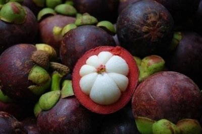 ​夏天什么水果可以放的时间比较久,夏天什么水果常温耐放