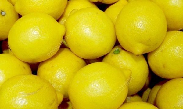 哪些水果放的时间长不容易坏