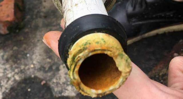 水管青苔堵塞如何疏通,黑色水管内壁会长青苔吗图5