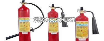 ​二氧化碳灭火器原理