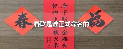 ​春联是谁正式命名的