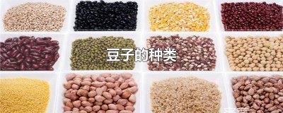 ​关于豆子的幼儿教案 认识各种豆子教案