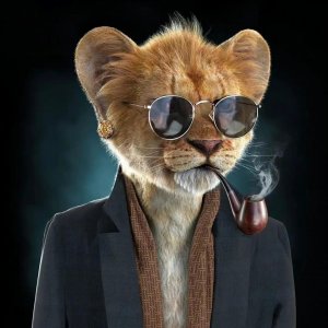 ​微信高清动物头像来了