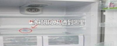 ​冰箱的排水孔通往哪里 冰箱的排水孔通哪里