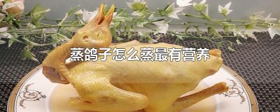 ​蒸鸽子怎么蒸最有营养