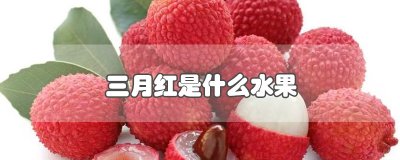 ​三月红是什么水果