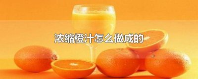 ​浓缩橙汁的制作工艺流程 浓缩橙汁的制作工艺有哪些