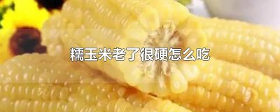 ​糯玉米老了很硬怎么吃