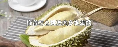 ​榴莲怎么挑选肉多饱满的