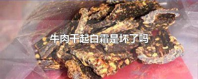 ​牛肉干起白霜是坏了吗