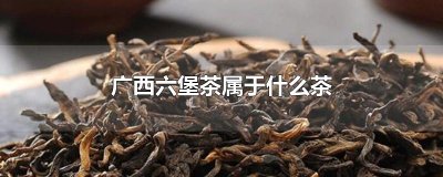 ​广西六堡茶属于什么茶